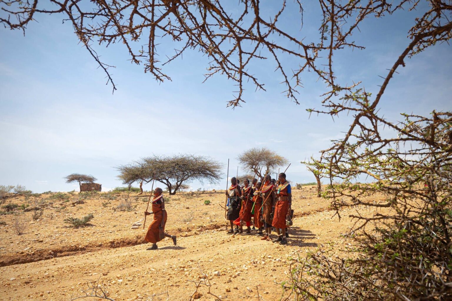 A specialist safari company, shaped by deep East Africa experience